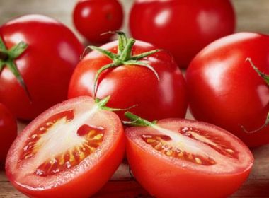 IBGE estima aumento de 20% em safra de tomate da Bahia em 2019